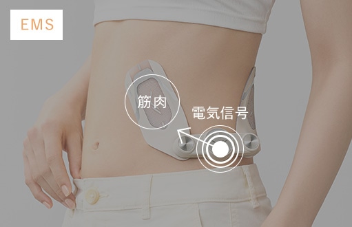 筋肉に電気信号を伝えるEMSの仕組み