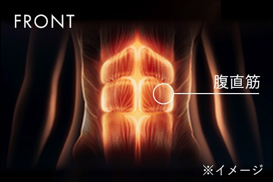 FRONT 腹直筋