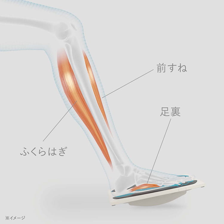 シックスパッド フットフィット3 コンパクト(Foot Fit 3 Compact) 足の