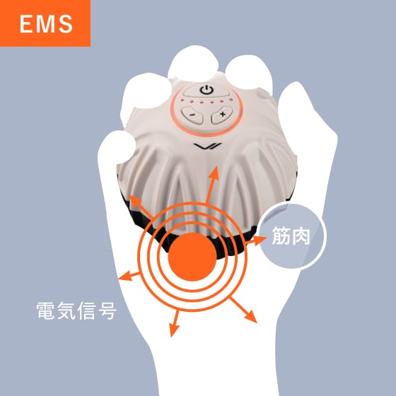 EMSでは電気信号が直接筋肉にアプローチする仕組み