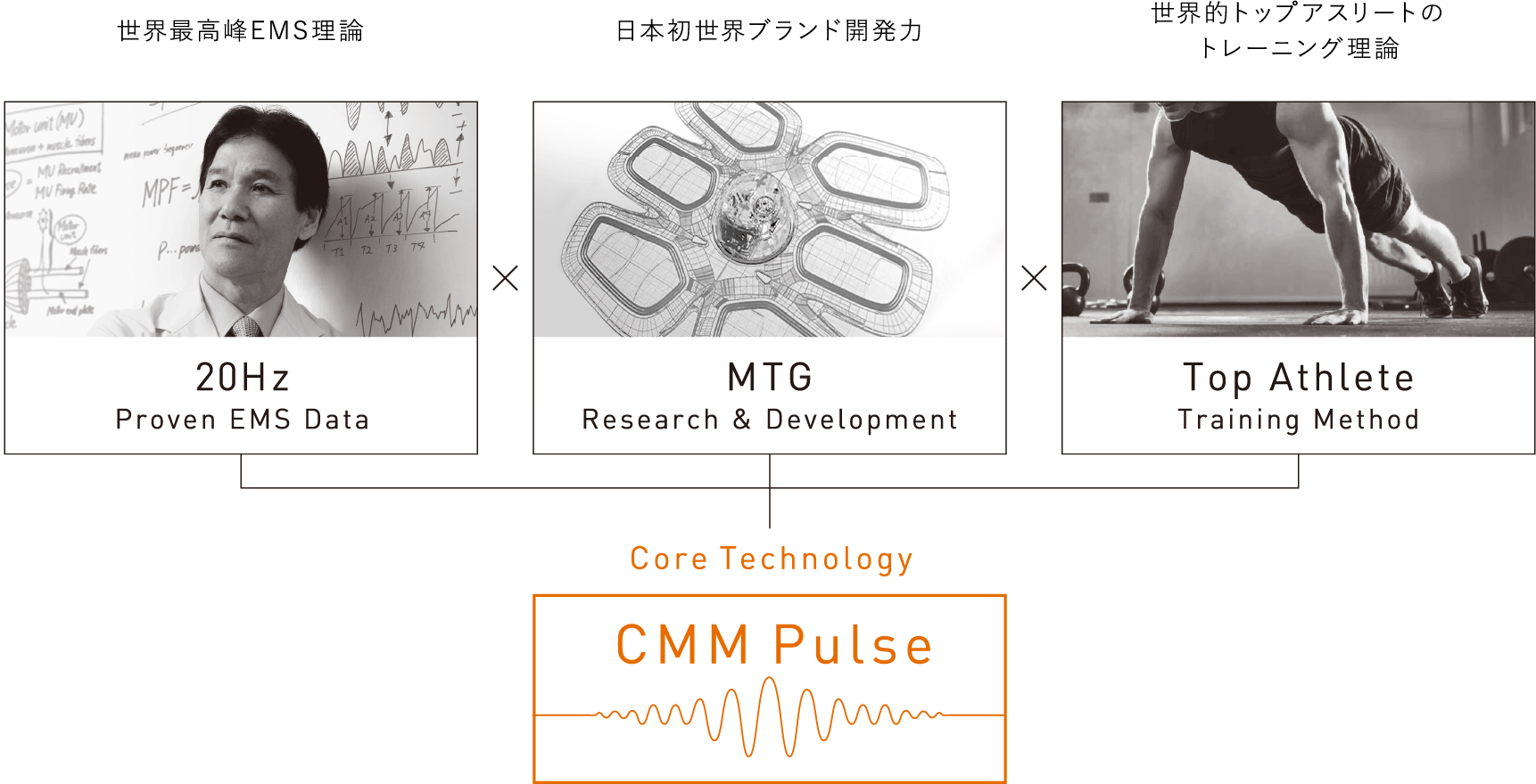CMM Pulse