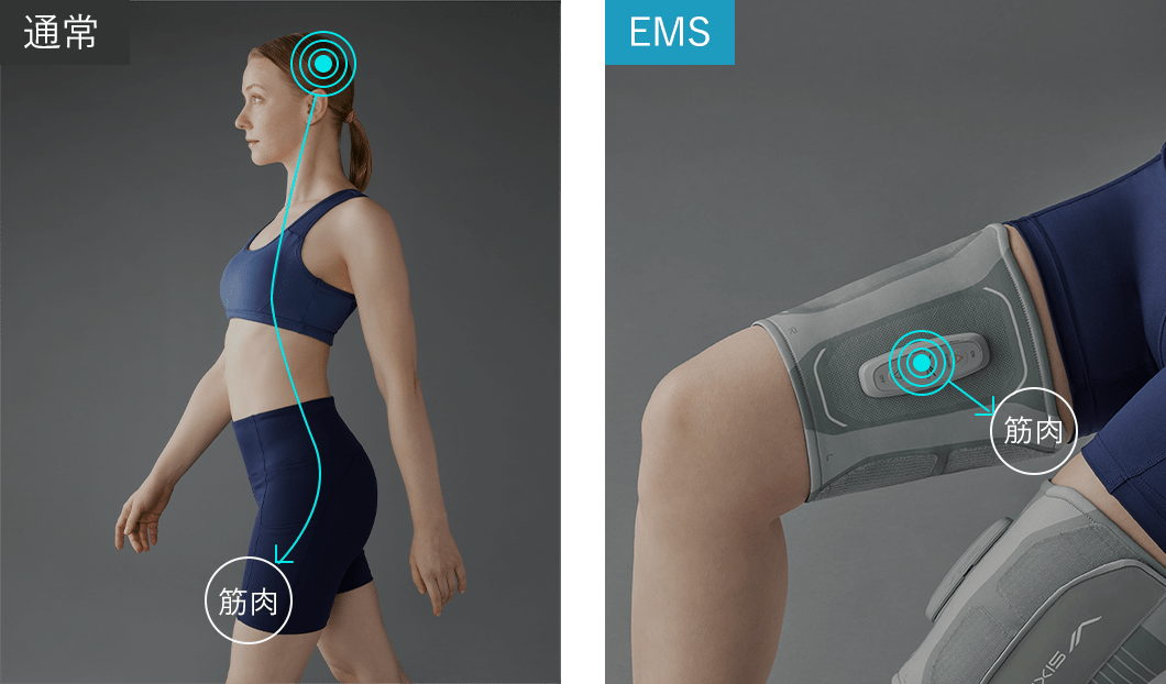 電気刺激によって筋肉をトレーニングするテクノロジー。それがEMSです。
