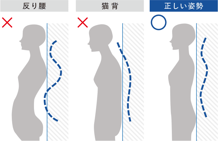 反り腰× 猫背× 正しい姿勢○