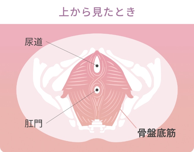 上から見たとき