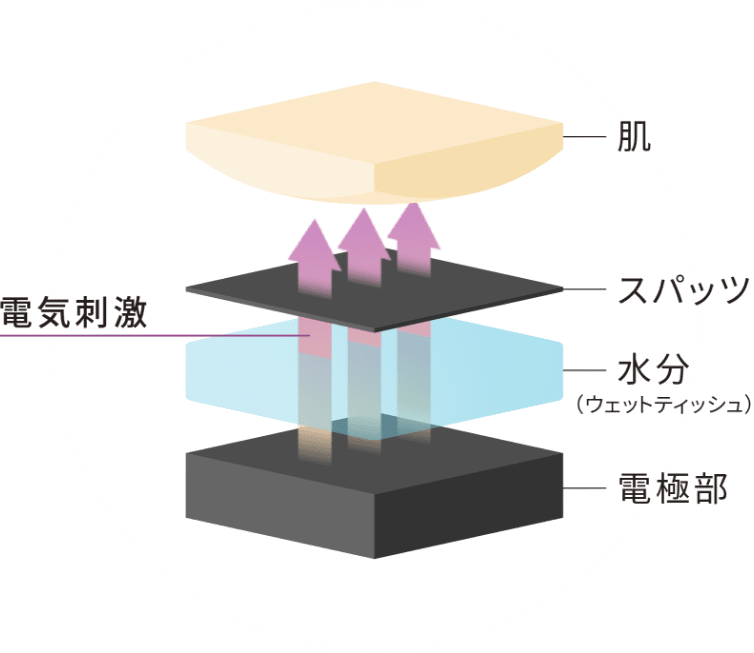 衛生的にご使用いただくために