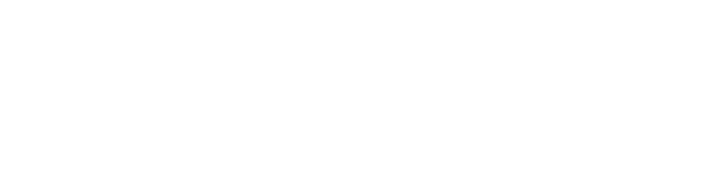 SIXPAD Power Roller Twins