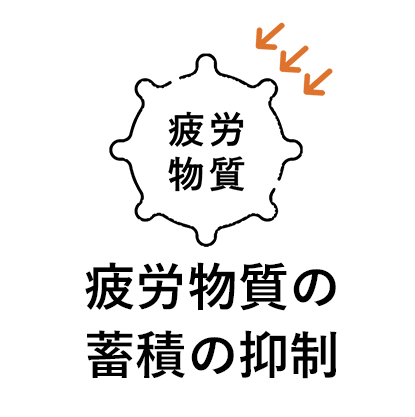 疲労物質の蓄積の抑制