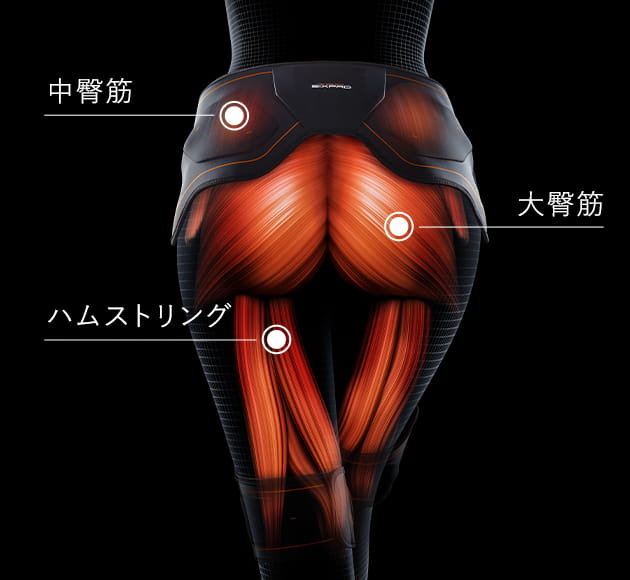 理想のヒップに必要な3つの筋肉へ効率的にアプローチ。