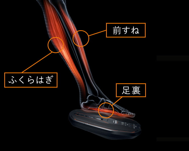 歩行を支える筋肉を鍛える。