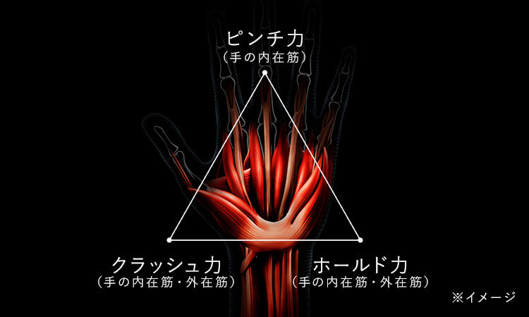 つまむ、つかむ、持ち続ける。握力を支える3つの力に効率的にアプローチ。