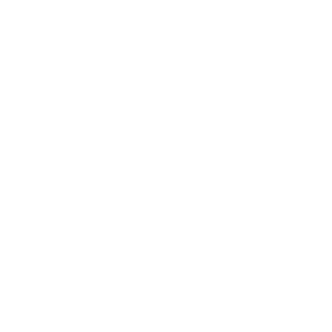 観戦ペアチケット 