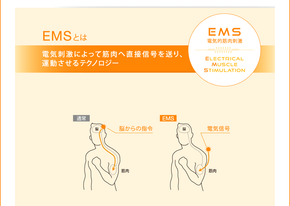EMSとは 電気刺激によって筋肉へ直接信号を送り、運動させるテクノロジー